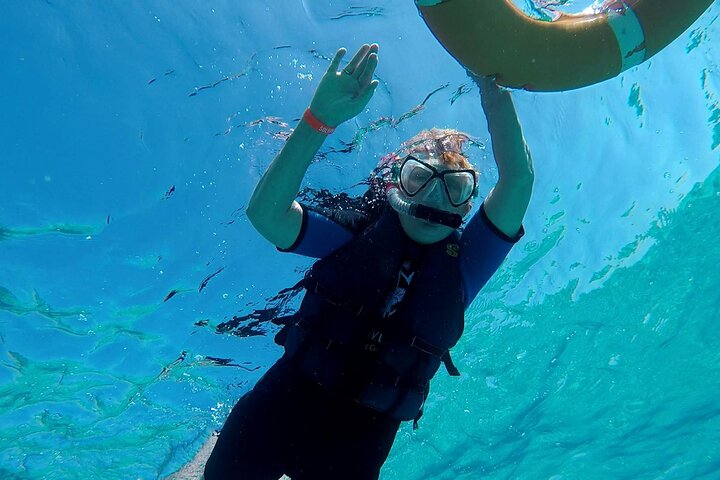 Sataya Dolphin House Adventure by Luxury Boat with Lunch