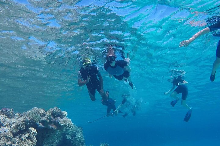 Sataya Dolphin House Adventure by Luxury Boat with Lunch