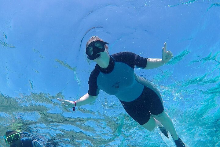 Sataya Dolphin House Adventure by Luxury Boat with Lunch