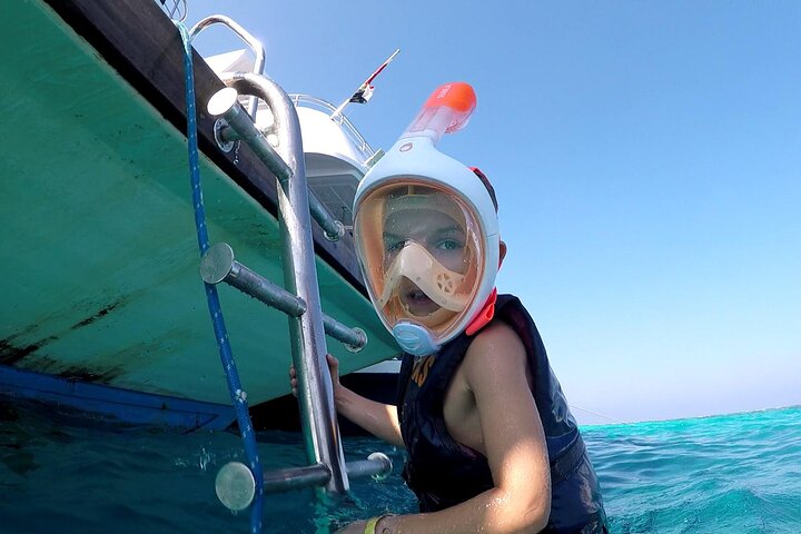 Sataya Dolphin House Adventure by Luxury Boat with Lunch