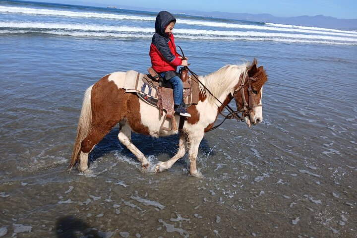 Horseback Riding on the Beach from Ensenada