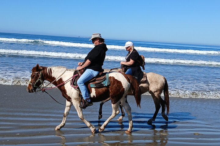 Horseback Riding on the Beach from Ensenada
