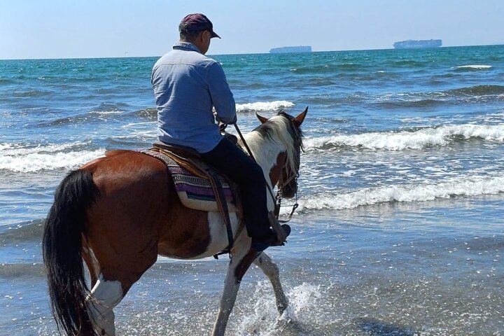 Horseback Riding on the Beach from Ensenada