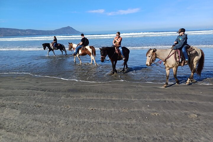 Horseback Riding on the Beach from Ensenada