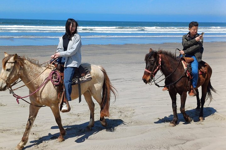 Horseback Riding on the Beach from Ensenada