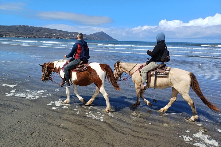 Horseback Riding on the Beach from Ensenada