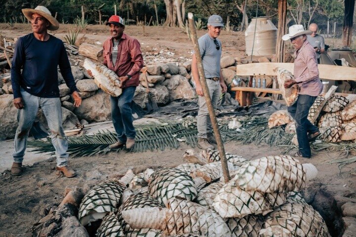 Cachasol Tequila Tasting & Raicilla Distillery Tour