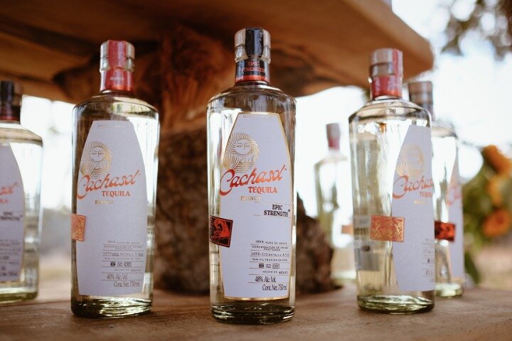 Cachasol Tequila Tasting & Raicilla Distillery Tour