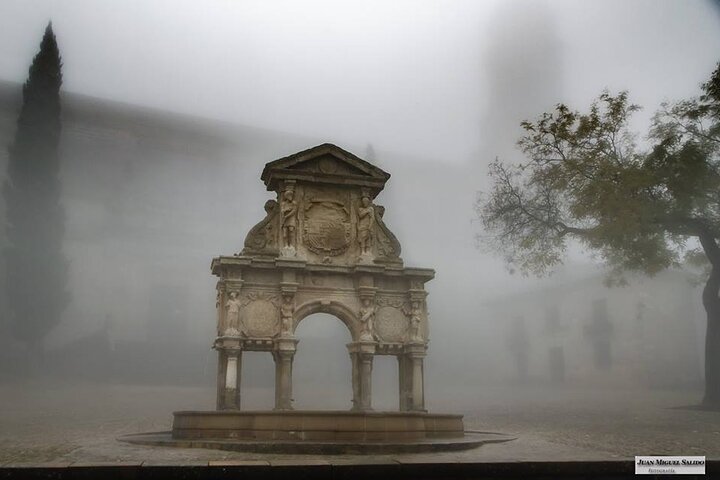 Tour of Baeza with Cathedral Entrance