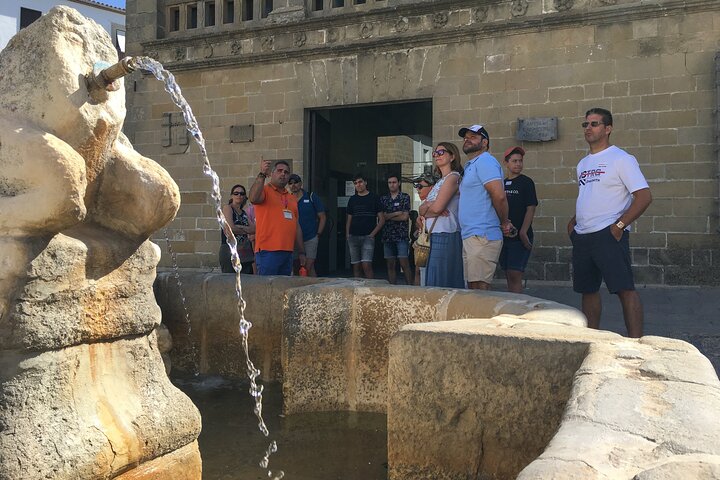 Tour of Baeza with Cathedral Entrance