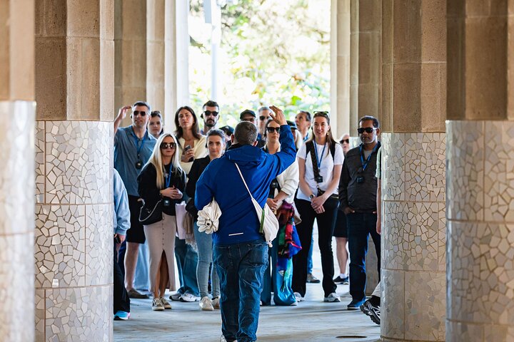 Park Guell Skip-the-Line Guided Tour in Barcelona