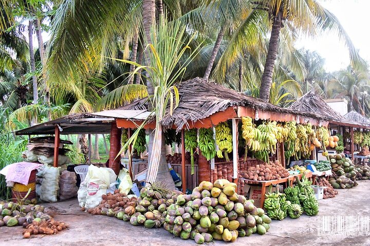 Full Day Salalah City Tour and East Salalah