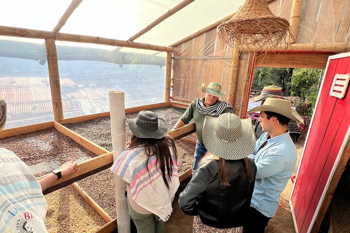 Coffee Farm Shared Tour from Salento