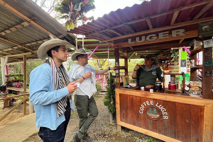 Coffee Farm Shared Tour from Salento