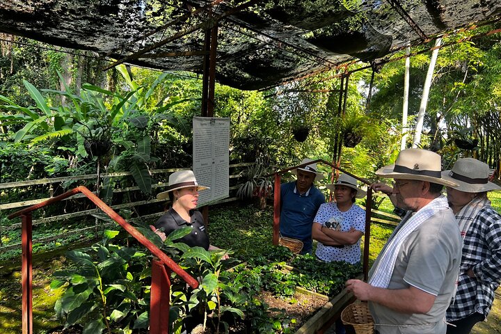 Coffee Farm Shared Tour from Salento