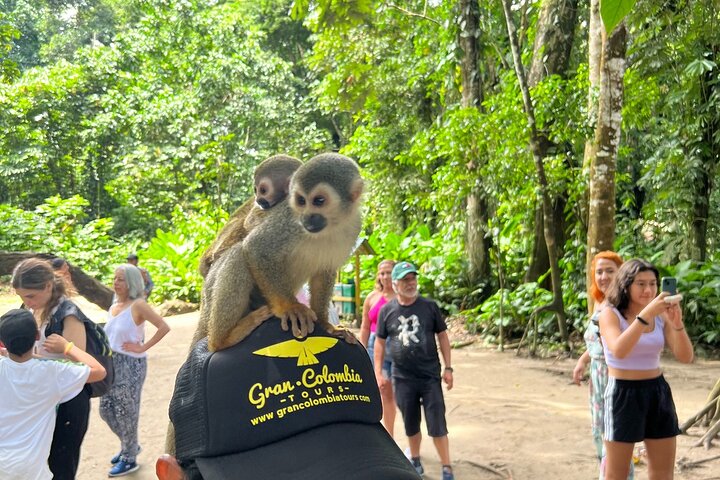 Amazon River and Monkey Island Day Tour