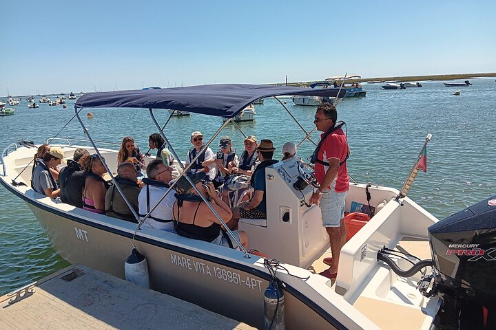 Ria Formosa Natural Park and Islands Boat Cruise from Faro