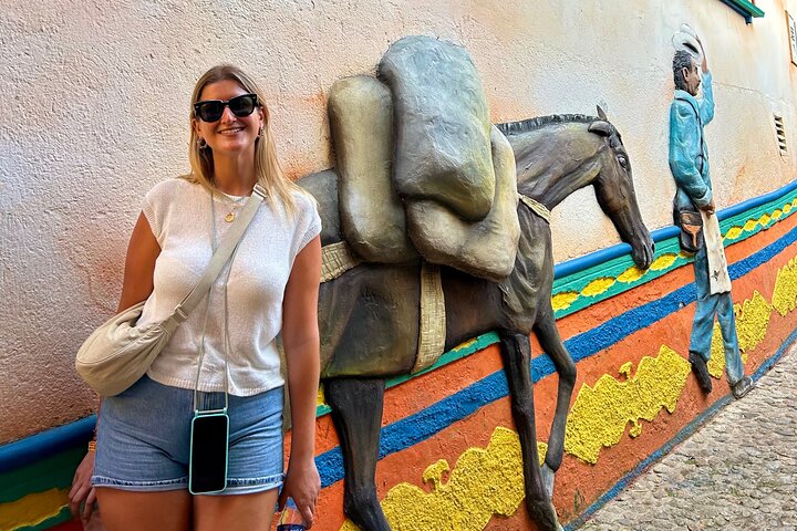 PREMIUM Guatapé Tour: Rock, Luxury boat ride, Meals & Llamas