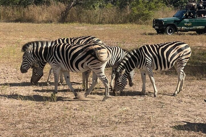 Safari adventure at Fathala Wildlife Reserve in Senegal
