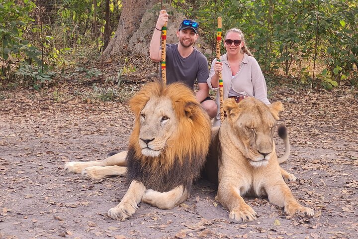 Safari adventure at Fathala Wildlife Reserve in Senegal