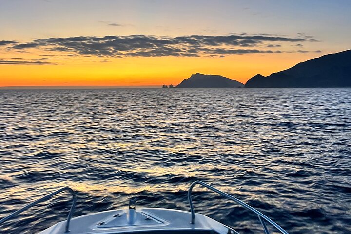 Private Boat Tour of Capri from Sorrento or Positano or Capri