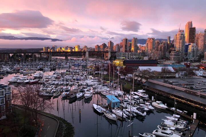 Vancouver City Sightseeing Tour: Capilano Suspension Bridge & Vancouver Lookout