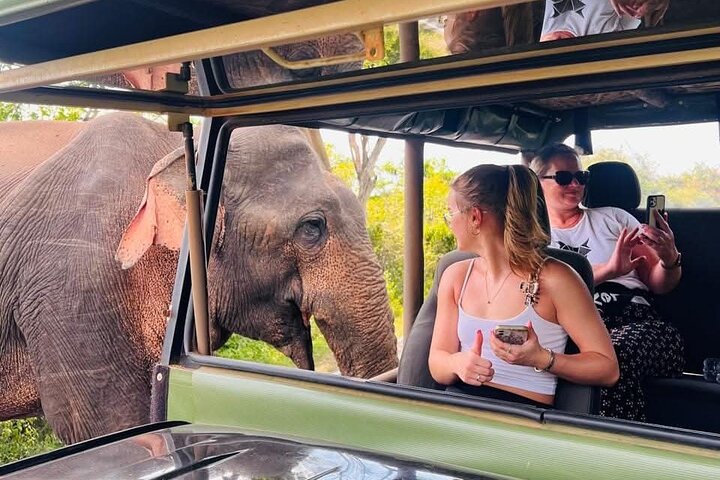 Yala National Park Safari Tour From Hambantota Port