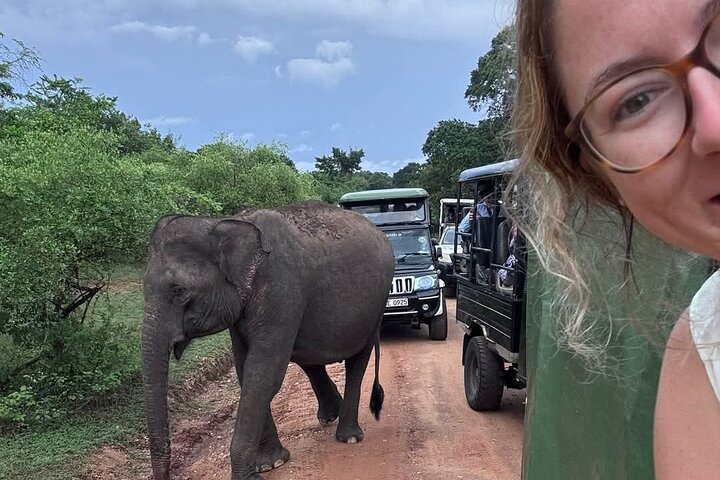 Yala National Park Safari Tour From Hambantota Port