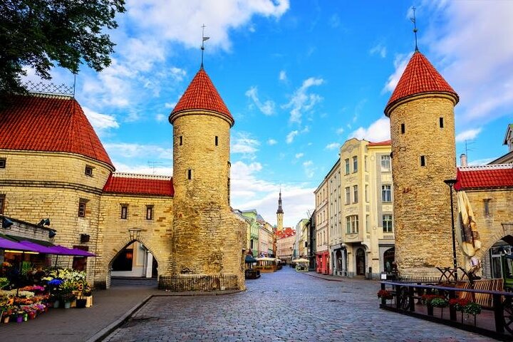 Best of Tallinn: Small Group Walking Tour (Max 10, 3 Hours)