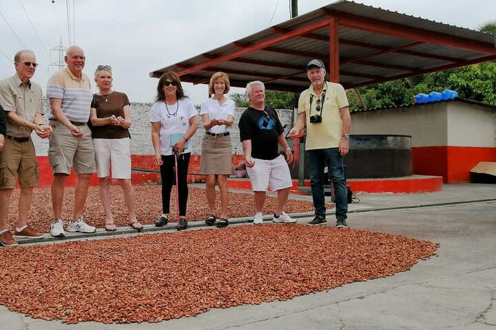 Cocoa and Tropical Fruits Farm with Fine Chocolate Experience