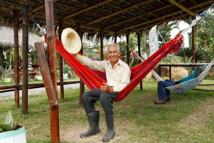 Cocoa and Tropical Fruits Farm with Fine Chocolate Experience