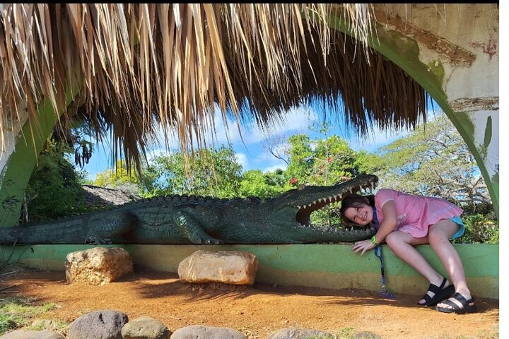3 Hours Private Tour in Montego Bay From Falmouth