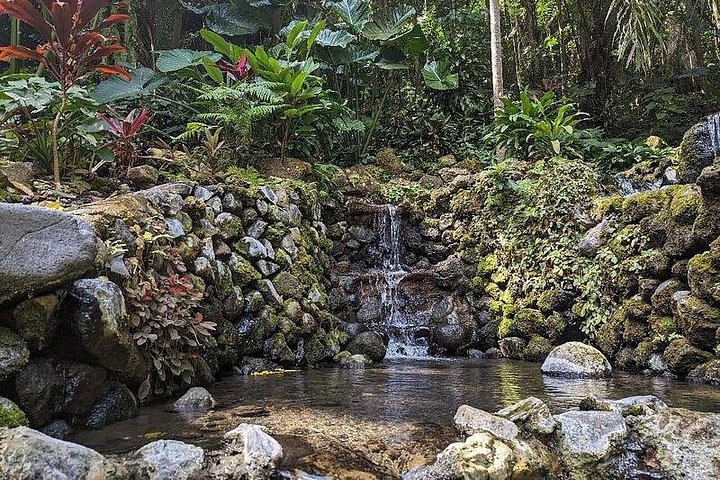 Hidden Valley Springs Nature Getaway with Buffet Lunch & Transfer