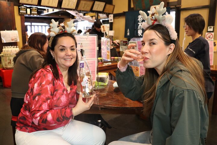 Private Nara Tour and Sake Tasting (Departing from Kyoto/Nara)