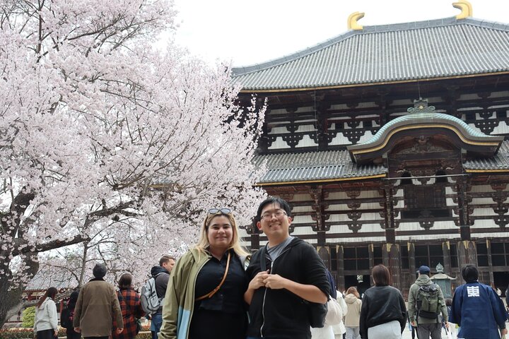 Private Nara Tour and Sake Tasting (Departing from Kyoto/Nara)