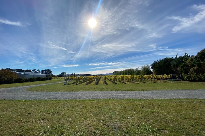 Private Martinborough Wine Tour for Wine Enthusiasts