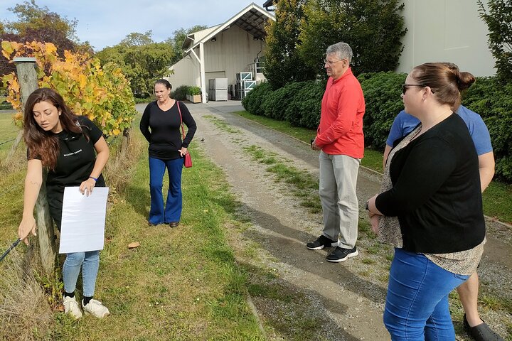 Private Martinborough Wine Tour for Wine Enthusiasts