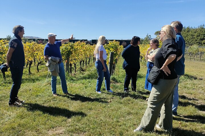 Private Martinborough Wine Tour for Wine Enthusiasts