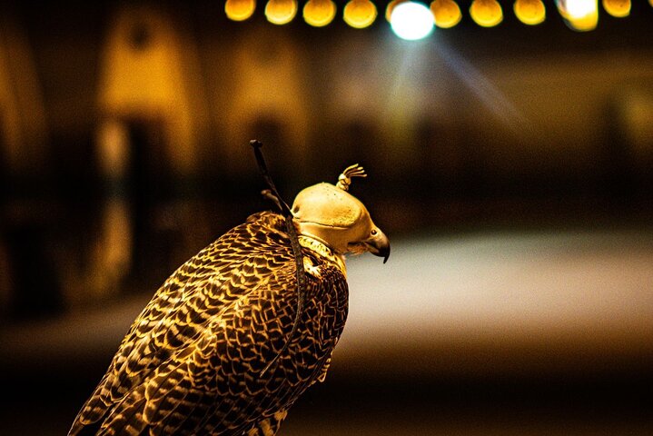 Evening Desert Safari Dubai with Camel Ride & BBQ dinner