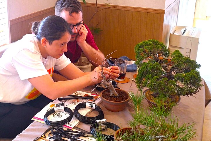 Bonsai Art Tour & Experience in Japan's Most Sacred "Bonsai City"