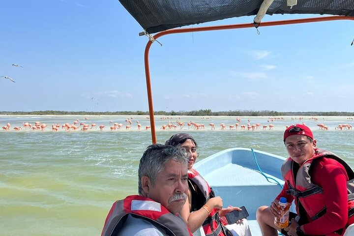 Río Lagartos: Private Boat Tour