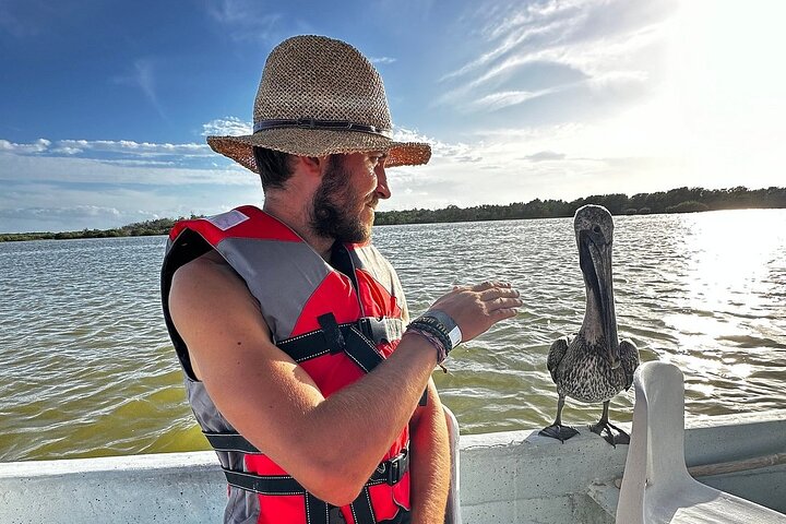 Río Lagartos: Private Boat Tour