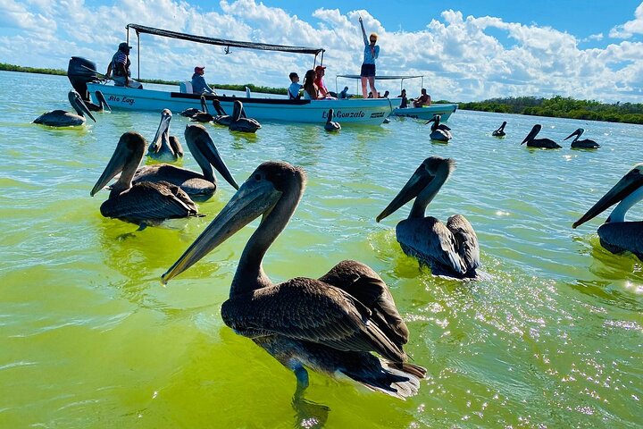 Río Lagartos: Private Boat Tour