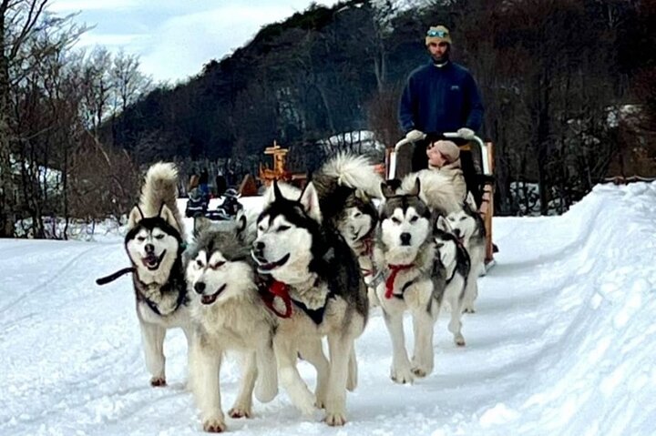 White Adventure with Sledge Ride and Snowmobile