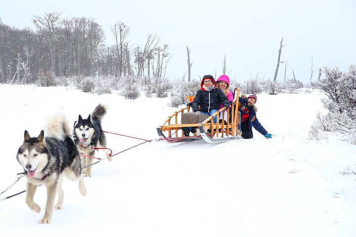 White Adventure with Sledge Ride and Snowmobile