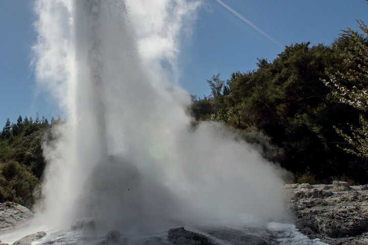 Auckland: Rotorua Tour with Waiotapu, Te Puia and Maori Haka