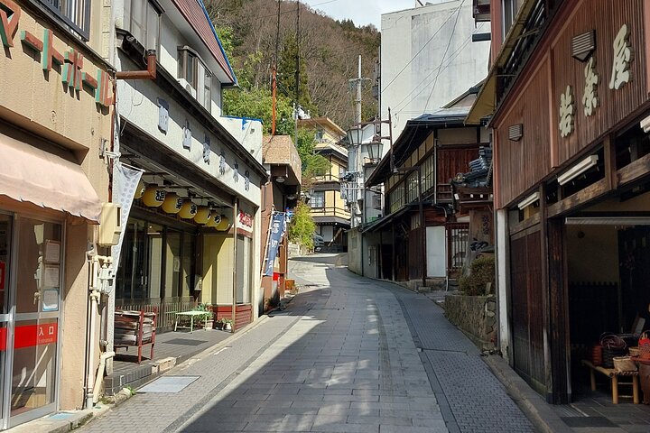 Snow Monkey Park, Soba Lunch and Shibu Onsen Tour