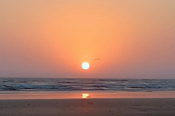 Full Day Private Karachi City Tour (History and Culture)