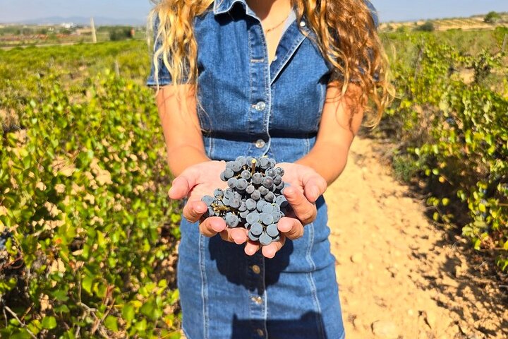Valencia: Utiel-Requena Cave & Winery Day Trip with Tasting
