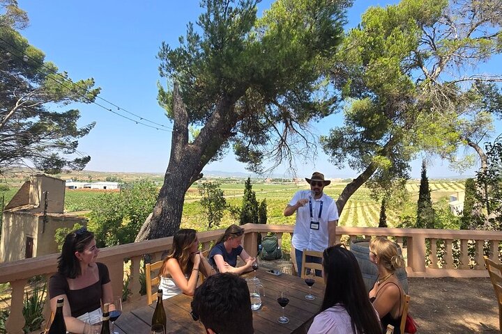 Valencia: Utiel-Requena Cave & Winery Day Trip with Tasting